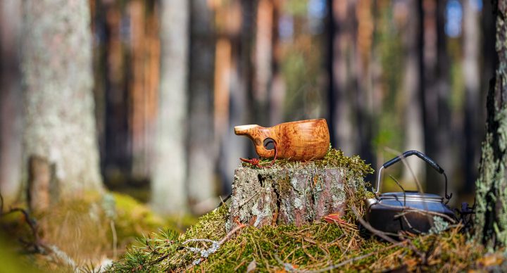 Ausflug mit Picknick