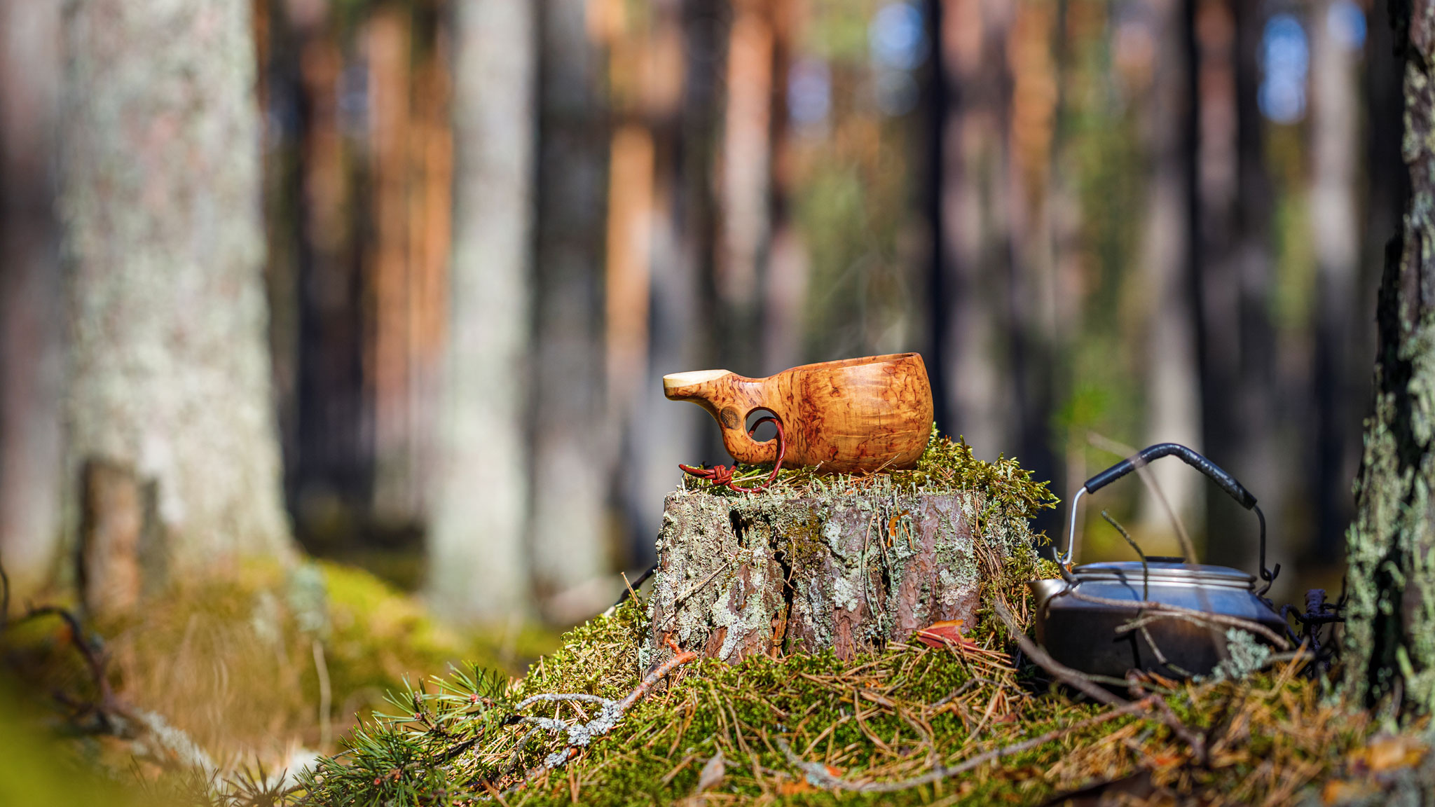 Ausflug mit Picknick