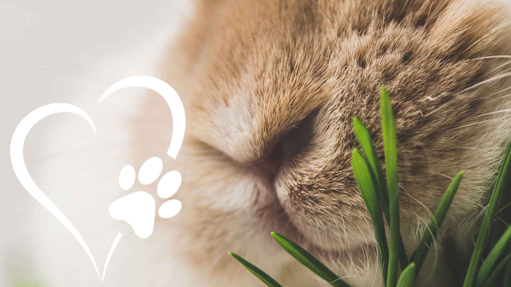 Samstag ist Aktionstag tierlieb! in Helsinki, 14.5.2022