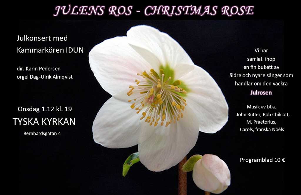Julkonsert 1.12.2021, Kammarkören Idun